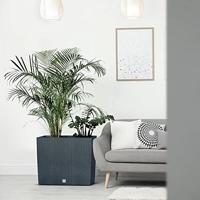 Prosperplast Bloempot Rato Case (Mokka, 580x180x498) - thumbnail