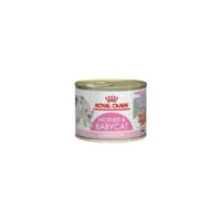 Royal Canin mother & babycat kattenvoer 12x195gr blik mousse - thumbnail