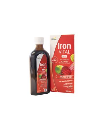 Hubner Iron Vital ijzer elixer (250 ml)
