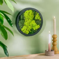 Mosschilderij Rond - M - thumbnail