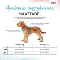 Hondentuigje Company of Animals Grijs XS 28-44 cm - thumbnail