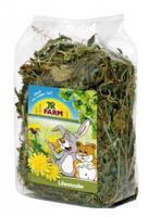 JR Farm knaagdier paardenbloem 100 gram 07101 JR Gebr. de Boon - Gebr de boon - thumbnail