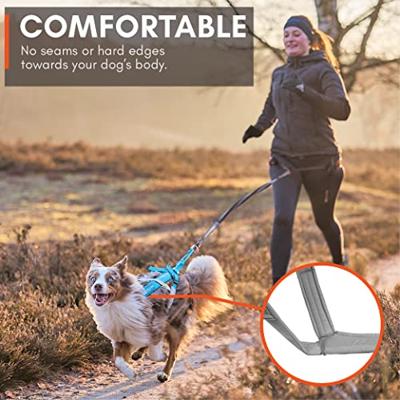 Non-stop dogwear® Trektuig Freemotion Harness 5.0, black/orange, Maat: 9 Non-stop dogwear® Trektuig Freemotion Harness 5.0, black/orange, Maat: 9