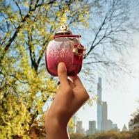 Coach Wild Rose Eau de parfum Spray 50 ml Dames - thumbnail