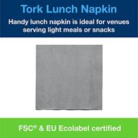 Lunchservet tork advanced vierdevouw grijs | 10 stuks - thumbnail