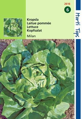 Zaden Kropsla Milan Hortitops - Hortitops Zaden Kropsla Milan Hortitops - Hortitops