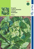Zaden Kropsla Milan Hortitops - Hortitops - thumbnail