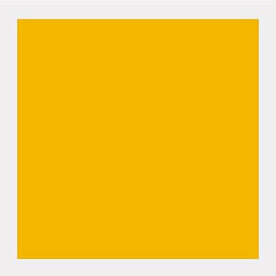 Talens Gouache Extra Fine Quality Fles 16 ml - Geel 200