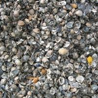 Kleischelpen Big Bag - 1m3 - thumbnail