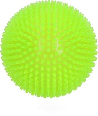 Dog Comets Exoplanet Green S