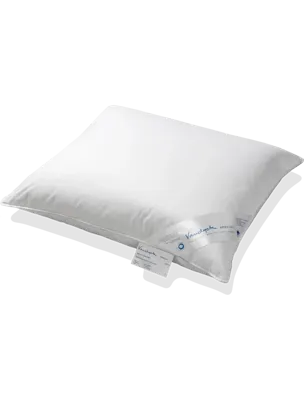 Vandyck hoofdkussen Kapok Silver