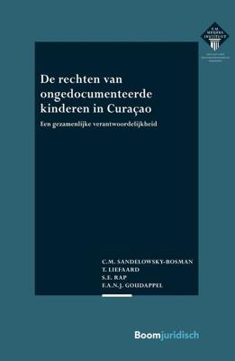 De rechten van ongedocumenteerde kinderen in Curaçao - C.M. Sandelowsky-Bosman, T. Liefaard, S.E. Rap, F.A.N.J. Goudappel - ebook