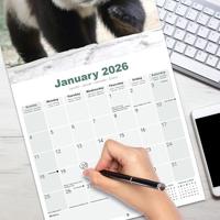 Panda Kalender 2026 - thumbnail