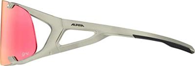 Olympic Sportswear Alpina sports sportbril hawkeye qv grijs