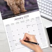 Poedel Toy en Miniatuur Kalender 2026 - thumbnail