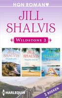 Wildstone 2 - Jill Shalvis - ebook - thumbnail
