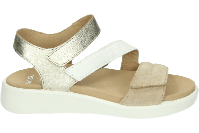 Ara 1221407 MADEIRA-S - alle