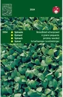 Spinazie Breedblad Scherpzaad zomer, 100 gram - thumbnail