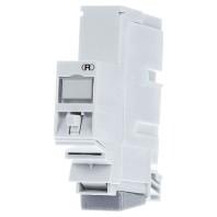 Rutenbeck UM-Cat.6A iso-REG REG-montageadapter UM-Cat.6A iso-REG 13910200 1 stuk(s) - thumbnail