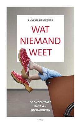 Wat niemand weet - Annemarie Geerts - ebook