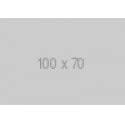 Street Fighter: Blanka T.N.C-05 - thumbnail