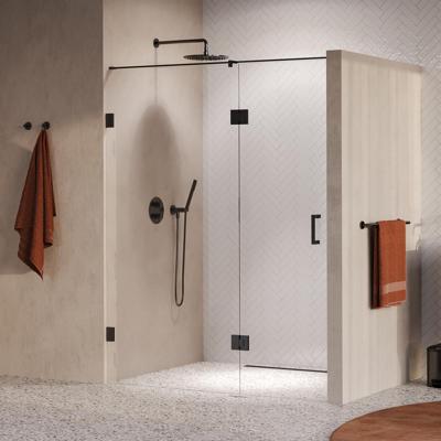 Brauer Void - Nisdeur - 2-Delig - Helder Glas - 160 x 200 cm - Omkeerbaar - met Draaideur 70 cm - Aan Glas - incl. Glascoating - PVD Gunmetal