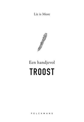 Een handjevol troost (Paperback)