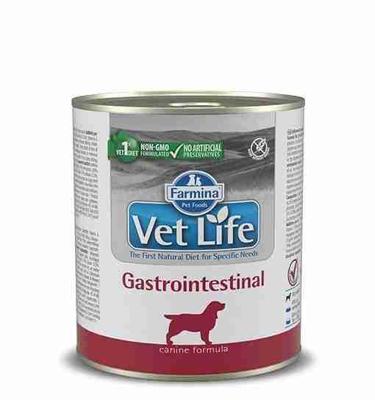 Farmina Vet Life Diet DOG Gastrointestinal 300 g