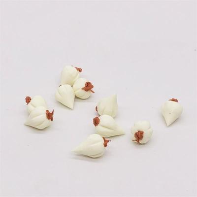 20 stuks/2 zakken 1:12 Mini huis speelgoed simulatie knoflook keuken decoratie (gebroken wit)