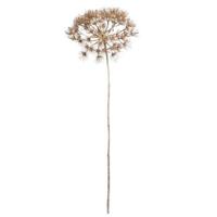 Tak Heracleum - grijs - 80 cm - Leen Bakker - thumbnail