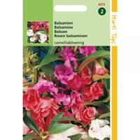 Zaden Impatiens Balsamien dubbelbloemig gemengd Hortitops - Hortitops - thumbnail