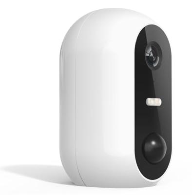 Beveiligingscamera Denver Electronics