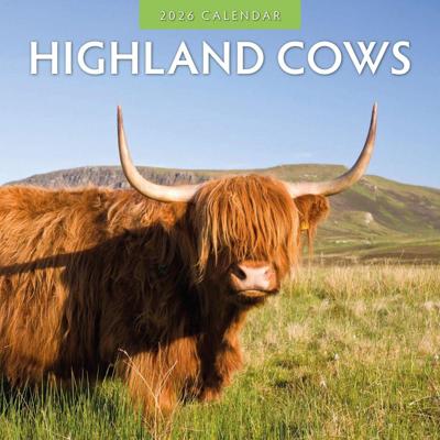 Schotse Hooglander Kalender 2026
