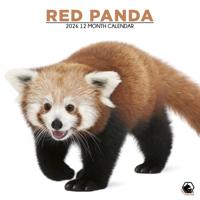 Rode Panda Kalender 2026 - thumbnail