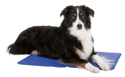 Trixie koelmat blauw