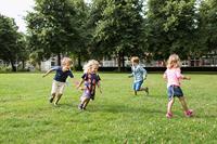 BS Toys staartentikkertje - kinderspel - thumbnail