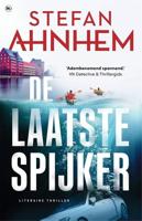 De laatste spijker - Stefan Ahnhem - ebook - thumbnail
