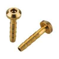 JAGWIRE Needle insert formula (10pcs) - thumbnail
