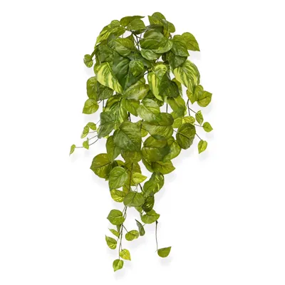 Scindapsus Pothos Hangplant 55 cm - Kunstplant