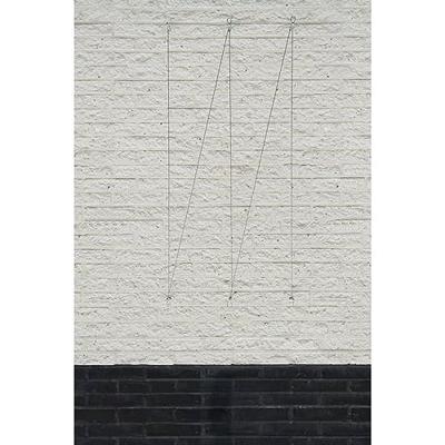 Draadset voor klimplanten d1.8mmx10