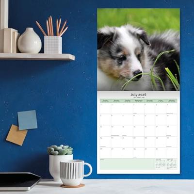 Puppies Kalender 2026