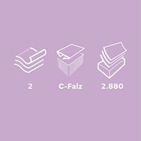 Papieren handdoek, C-vouw, 2-laags, 144 vel, pak van 20 stuks - thumbnail
