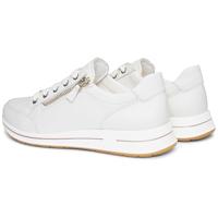 Ara 1224801 - alle - thumbnail