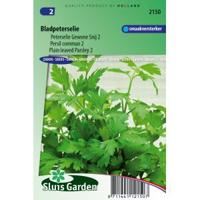Peterselie zaden Gewone Snij 2 - thumbnail