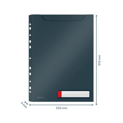 Leitz 46680089 sheet protector 210 x 297 mm (A4) Polypropyleen (PP)