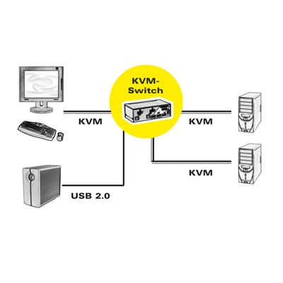 ROLINE DisplayPort USB 2.0 KVM Switch, 1 User - 2 PC