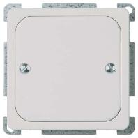 ELSO blinde afdekking 503054 geschroefd 1f. RENOVATIE rw 1 stuk(s) - thumbnail