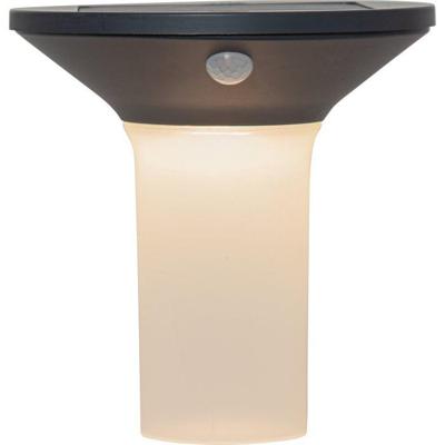 Eglo Solar lampCorbezzola met bewegingssensor - 900243