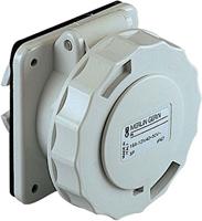 Schneider Electric 82953 82953 CEE-opbouwdoos 16 A 50 V 1 stuk(s) - thumbnail