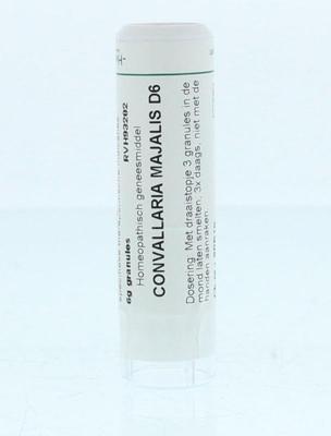 Homeoden Heel Convallaria majalis D6 6 Gram Homeoden Heel Convallaria majalis D6 6 Gram